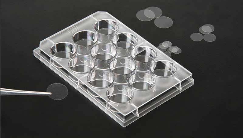 BRAND™ Lamelles pour lames de microscope Forme : Rectangulaire, dimension  (métrique) : 24 x 60 mm BRAND™ Lamelles pour lames de microscope